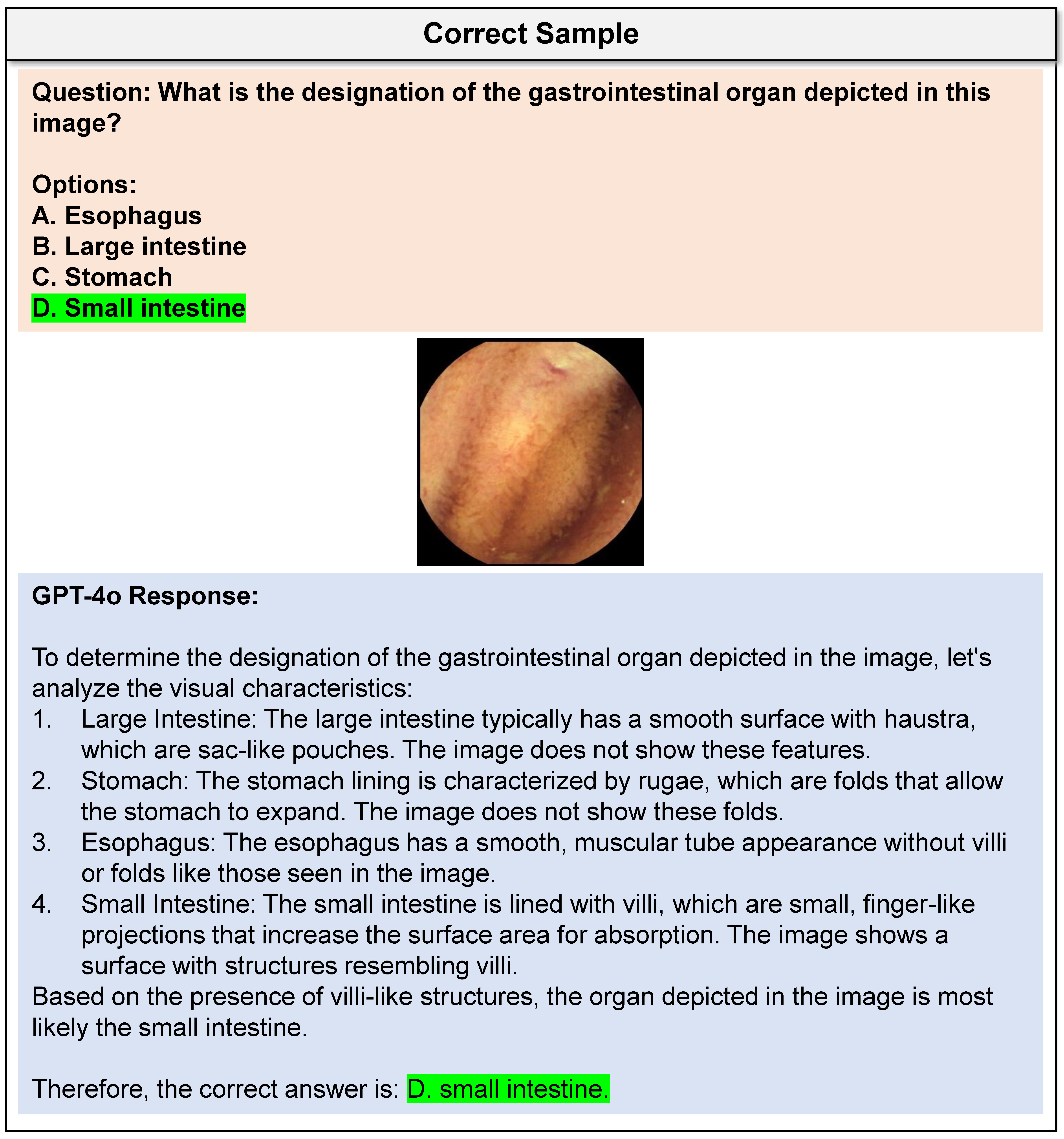 Case Study 04